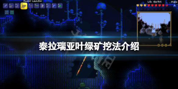 ̩Ҷ̿ôڣ̩Ҷ̿ʲôô