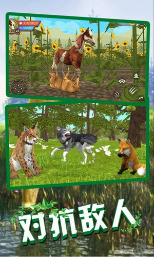 ģ3