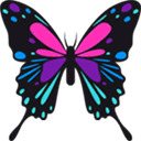 Ǻֻ