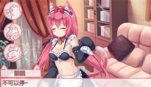 nekohiroimasذװƻ2