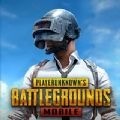 pubgʷ