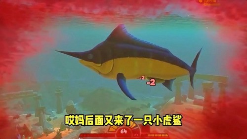޽ʯ