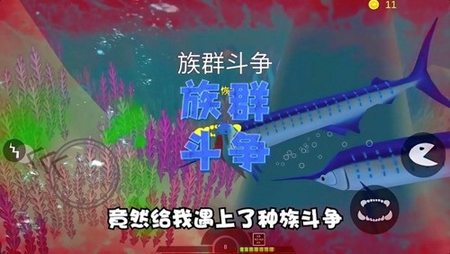޽ʯ