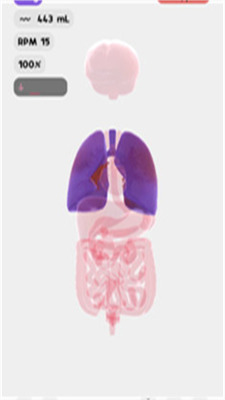 ģ