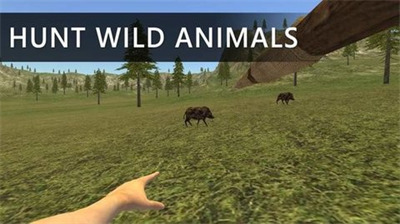 ĵģ3D