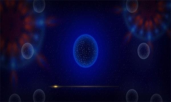 ΢ս3D׿