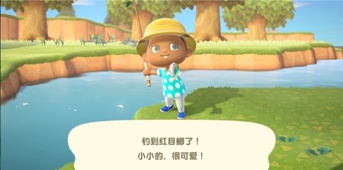 ɭѻ޸