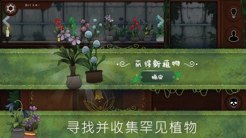 ԰ʯ