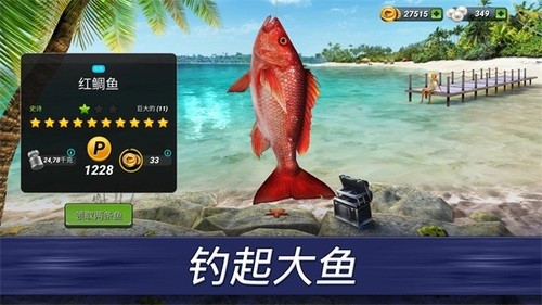 ͻ޽