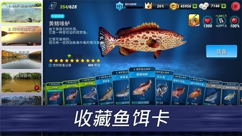 ͻò˵汾